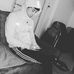 Joel Oliveira - Facebook