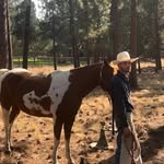 Joel Olson - @jolson462 - Instagram