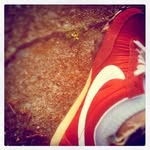 Joel Olson - @olsjoe - Instagram