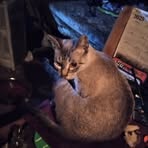 Joel Olson - Facebook