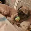 Joel Olson - @joel.olson - TikTok
