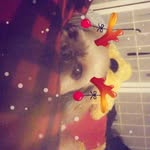 Joel olson - @itzskittles2k - Instagram