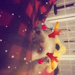Joel Olson - @joel.olson.12914 - Instagram