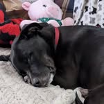 Joel - @joel_otter_ - Instagram