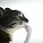 Joel Ott - @joel_or_something_idk - Instagram
