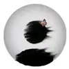 Skunk Heads - @joelpacker4 - TikTok