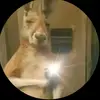 Joel Paredes - @joel.paredes963 - TikTok
