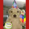 kskskdncmsms - @joel.parr - TikTok