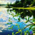 Joel patterson - @pattersonjoe026 - Instagram