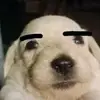 Joel Pearce - @joel.pearce0 - TikTok