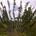 Joel Perrine - Facebook