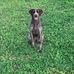 Joel Posner - Facebook