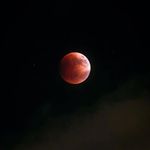 Joel E. Raines - @joele.raines - Instagram