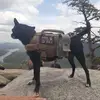 Joel Rawlston - @joel.rawlston - TikTok