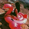 joel.raynorrichie818 - @joel.raynorrichie - TikTok
