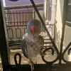 joelreddy3201 - @joelreddy3201 - TikTok