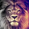 JoelRegis# - @user2508006123150 - TikTok