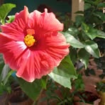 Joel Rodriguez - Facebook