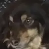Joel Rojo - @joel.rojo06 - TikTok