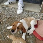 Joël Roland - @joel.roland.948 - Instagram