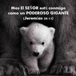 Joel Roldan - @65joel - Instagram