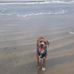 Joel Royce - Facebook