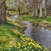 Joel Royer - Facebook