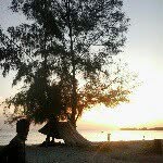 Joel Rules - @joelrules - Instagram