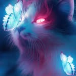 Joel - @joelsauer123452023 - Instagram