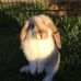 Joel Schubert - Facebook