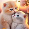 Joel See - @joel.see3 - TikTok