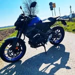 Joel Simons - @joel_lvl1 - Instagram