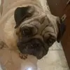 joel.singleton - @charlie_unicornsparkles - TikTok