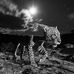 Joel Sisk - Facebook