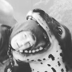 joel skipper - @skipperjoel - Instagram