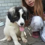 joel Spindler - @spindler.joel - Instagram