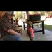 Joel Stokes - Facebook