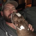 Joel Strate - @jdstrate - Instagram