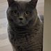 Joel Strauch - Facebook