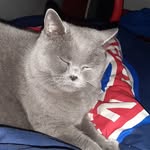 Joel Strauch - @joel.301111 - Instagram