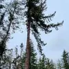 joelscottswenson - @joelscottswenson - TikTok