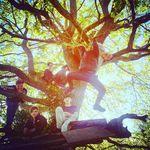 Joel Talbot - @joel_tal - Instagram