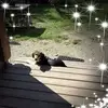 Joel Tinder - @joel.tinder - TikTok