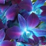 Joel Toney - Facebook