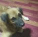 Joel Abdon - Facebook