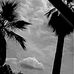 Joel Valadez - Facebook