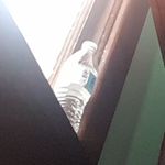 Joel VanCamp - @joel_is_wierd - Instagram