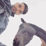 Joel Viera - @joel.viera.338863 - Instagram