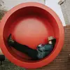 Joel Wade - @joelthewade - TikTok