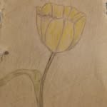 Joel M Weir - @bluecollaredowl - Instagram
